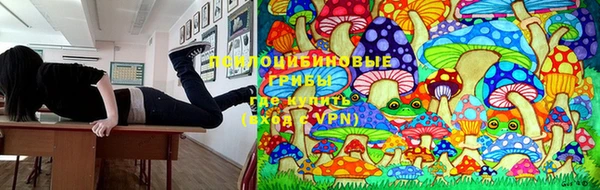твердый Алзамай