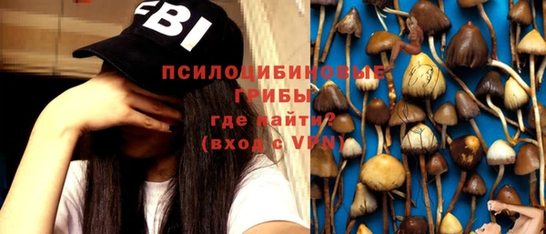 твердый Алзамай