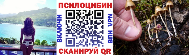 Псилоцибиновые грибы мицелий  Узловая 